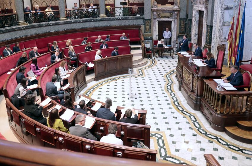 València demana suspendre el decret sobre medicaments veterinaris i rebaixar l’IVA per a l’atenció animal