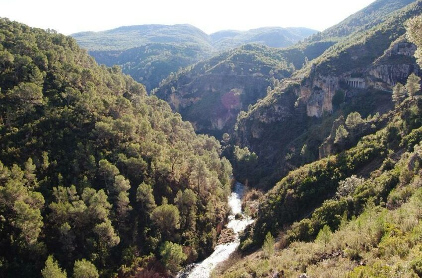 Medi Ambient prohibix l’ús del foc en terrenys forestals durant la Setmana Santa i Pasqua