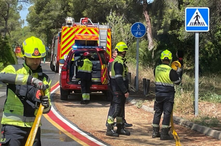 L’Ajuntament reforça la vigilància al Saler durant la Setmana Santa i Pasqua