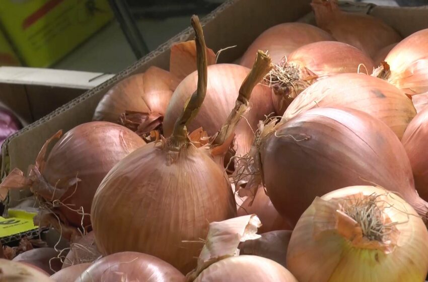 València acull l’Assemblea General de les Regions Europees Productores de Fruites i Hortalisses