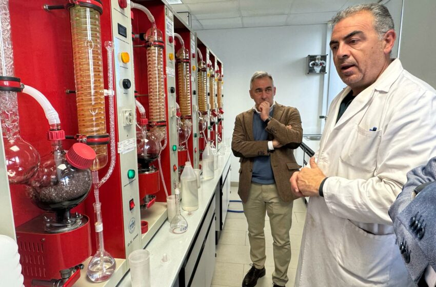  Agricultura destina més de dos milions d’euros a la promoció del vi valencià