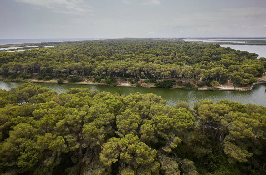  Bombers València inicia simulacres amb el veïnat de la Devesa-El Saler per a millorar la resposta davant incendis forestals
