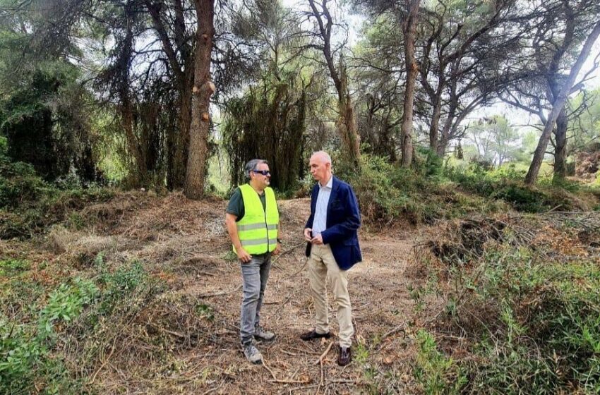 La Regidoria de Devesa-Albufera impulsà per primera vegada un servici específic de neteja de la muntanya