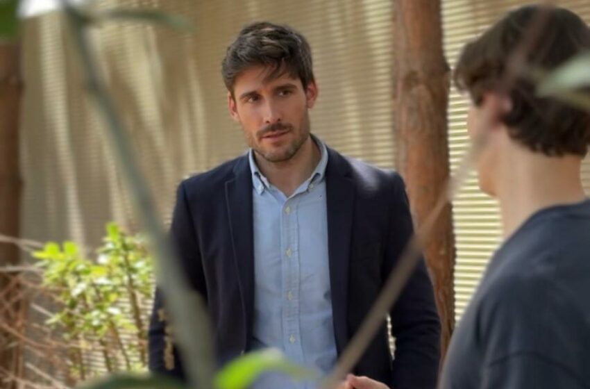 L’Ajuntament de València reprén la instal·lació de casetes menjador per a les colònies felines