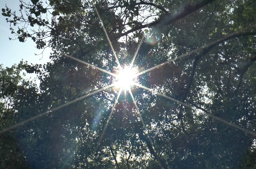  Del dia sense llum al Dia de la Llum: una apagada que encén el debat