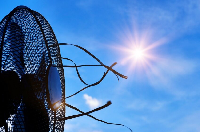 València activa la xarxa de refugis climàtics davant el primer episodi de calor de l’any