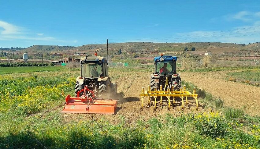  El Consell aprova un conveni amb el Ministeri d’Agricultura en matèria d’Estadística per a 2025