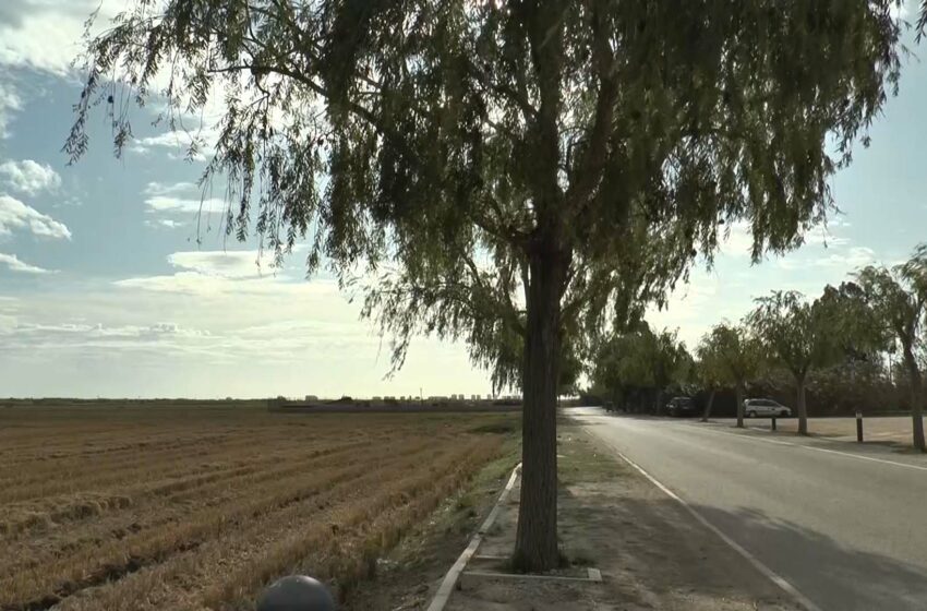  La Generalitat destina 7,9 milions d’euros per a la prevenció d’incendis