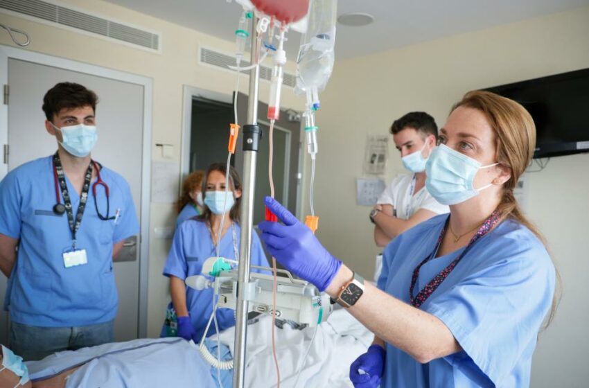  L’Hospital La Fe supera els 100 trasplantaments de medul·la òssia en adults en un any