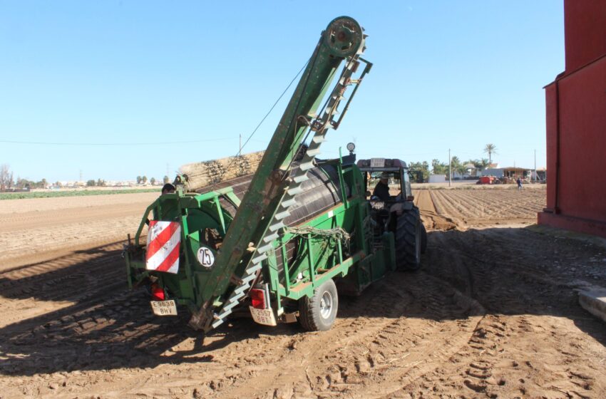  LA UNIÓ reclama un codi TARIC específic per a la xufa per a garantir el futur del cultiu valencià