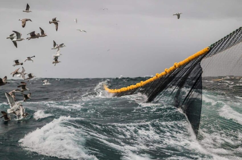  Ajudes de 1,6 milions per renovar xarxes de la flota d’arrossegament del Mediterrani