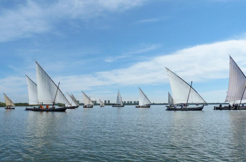  El Servici Devesa-Albufera autoritza tres exhibicions de vela llatina al llac de l’Albufera