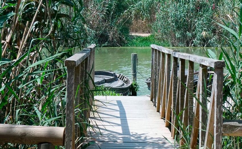 Joves voluntaris de tota Espanya fan tasques de neteja i recuperació al Port de Catarroja