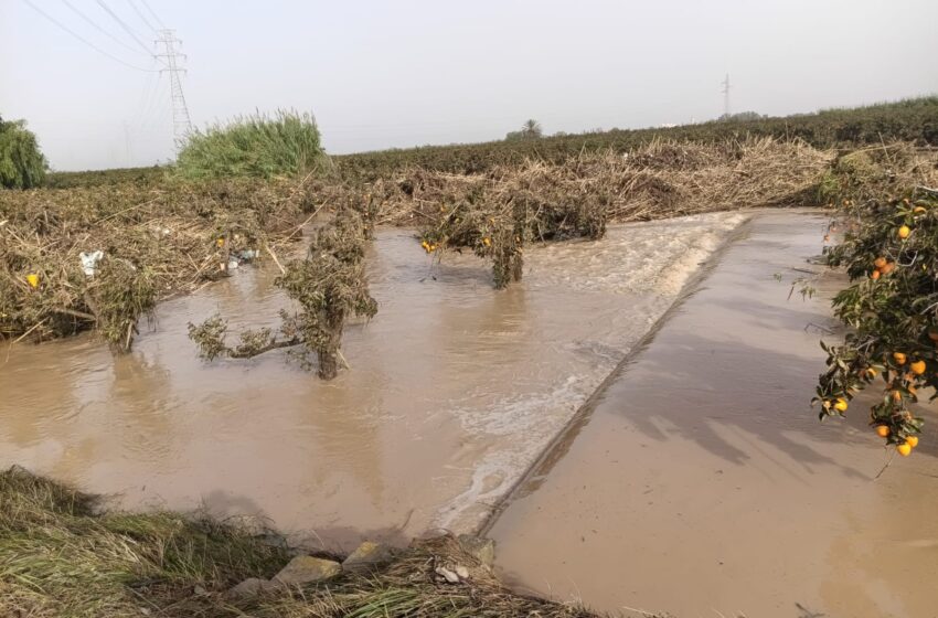  També sol·licita la conservació dels drets agraris de la PAC i els drets de reg