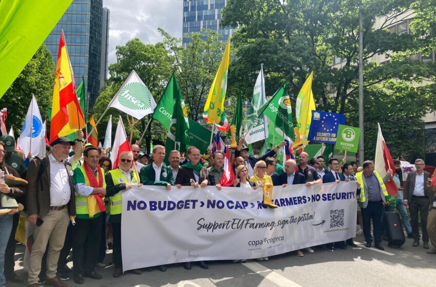  ASAJA protesta a Brussel·les contra els plans per “enterrar la PAC i carregar-se la sobirania alimentària”