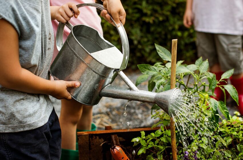  València dona llum verda al projecte dels Horts Urbans d’Orriols: un nou espai d’oci, convivència i cultiu per al barri