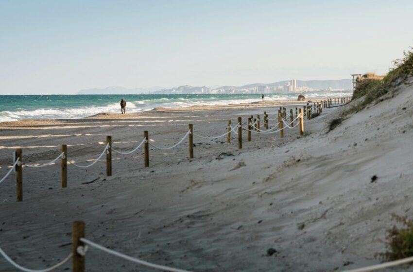 La Regidoria de Devesa-Albufera contracta un estudi tècnic per reforçar la protecció del sistema dunar de les platges del sud