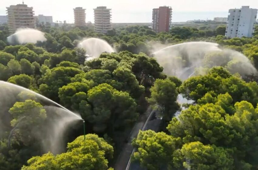 L’Ajuntament activa els canons d’aigua de la Devesa davant el risc extrem d’incendis per l’onada de calor