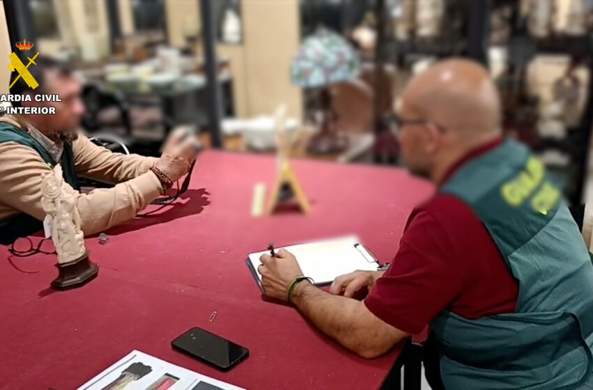  Intervingudes 127 peces de marfil il·legal a València: una detinguda i quatre investigats