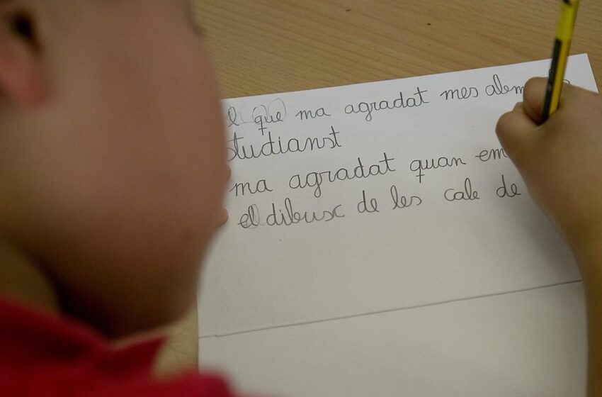  Patraix convoca el II Concurs de Redacció Escolar sobre Sostenibilitat Mediambiental