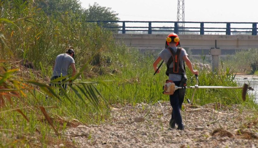  Almussafes treballa en la neteja del Barranc del Tramusser per previndre futures inundacions