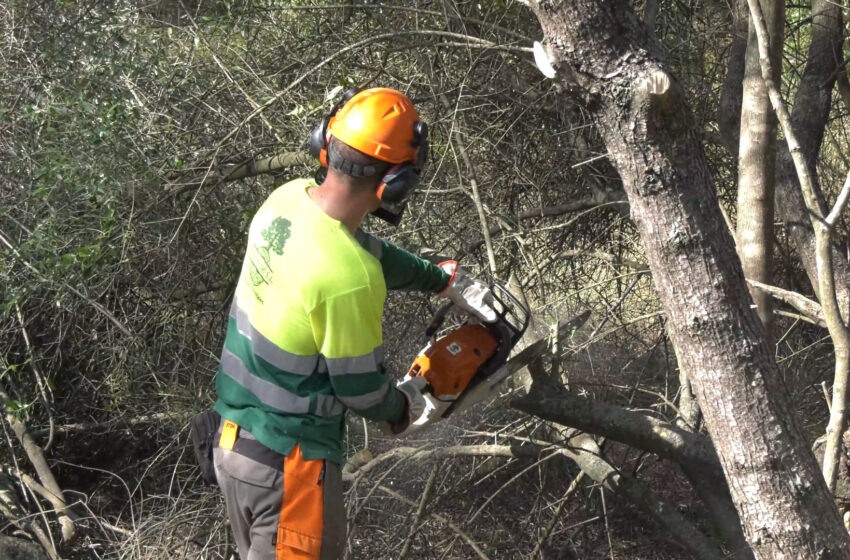 Alzira inicia les obres de protecció contra incendis al Racó i al Respirall