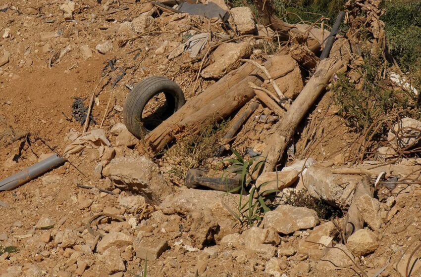 Zulima Pérez reconeix que les ajudes per a la DANA no són suficients