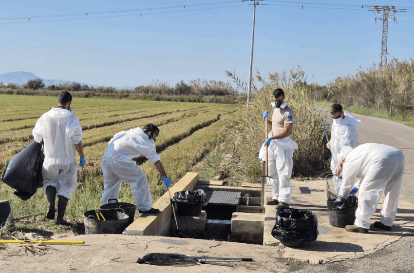  La Generalitat monitoritza l’Albufera després de les pluges i prepara l’arribada de més aigua amb els regants