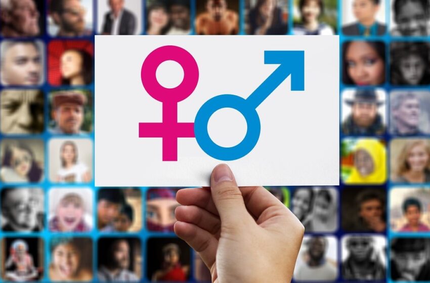  València impulsa la prevenció d’agressions sexuals amb formació per a més de 120 comissions falleres, associacions i espais d’oci