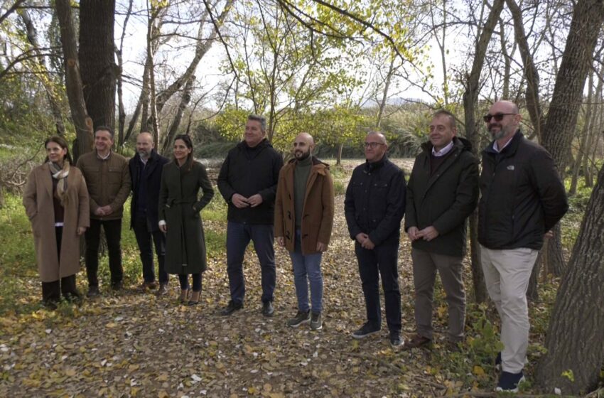  La Generalitat promou la declaració del Bosc de Ribera d’Algemesí com a Paratge Natural Municipal