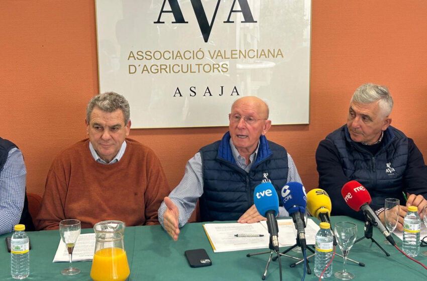  AVA-ASAJA xifra en 340 milions les pèrdues del sector agrari valencià en un any “molt difícil”