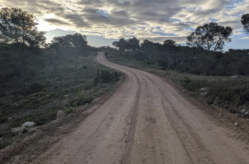  Millora de diverses pistes forestals a Llombai per reforçar la seguretat i la prevenció d’incendis