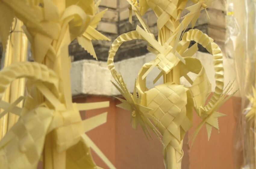  Les palmes de Diumenge de Rams prenen els carrers de Carcaixent