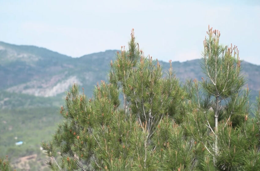  La Generalitat impulsa ‘Pasqua als Parcs’ amb un centenar d’activitats i l’obri als centres escolars