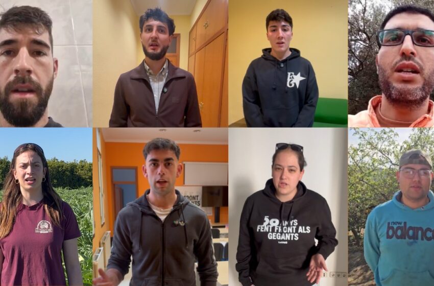 677 joves llauradors, bloquejats per un retard “injustificable” en les ajudes de la Conselleria