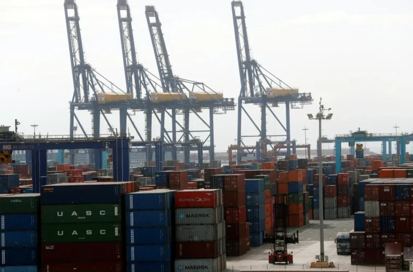 Intervinguts 3.289 quilos de marihuana procedent del Canadà en el port de València